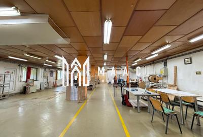 Spațiu industrial, 502 mp în Țiglari