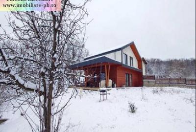 Casa de vanzare - Comuna Plopu - 1