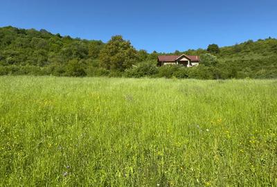 Teren de vanzare, Tauti, 2300 Mp - 1