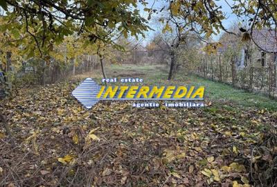 Casa individuala 3 camere Vanzare Barabant cu 1096 mp. toate utilitatile - 2