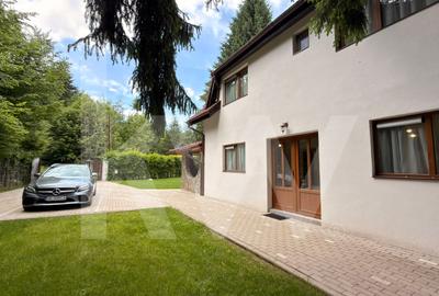 Vila de poveste din Valea Avrigului de vanzare - 18