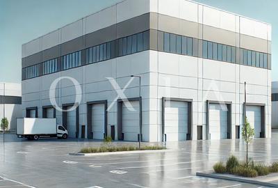 AX1132 Calea Sagului, Platforma Industriala, 7.387 MP - 2