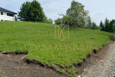 Teren de vânzare în Cisnădioara, aproape de cetate, cu priveliște superbă - 5
