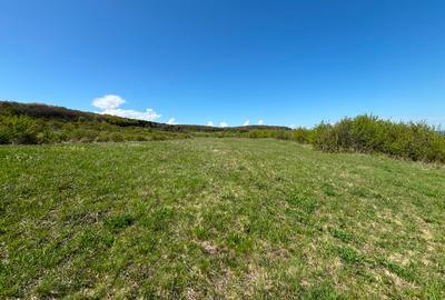 Oportunitate! Teren intravilan 3662 Mp, Front 32 mp,in sat. Padureni, Chinteni - 1