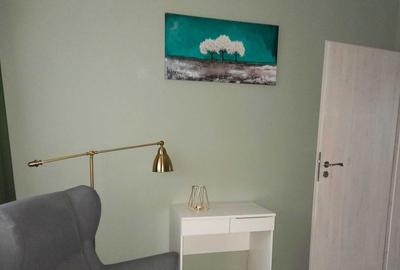 Apartament 3 Camere,Parcul Circului,bl.reabilitat,Amenajat,mobilat,complet - 2