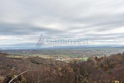 Parcela de teren extravilan, langa padure, zona Gheorghe Doja, Oradea - 1