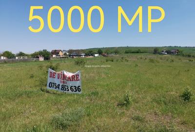 Teren Construcții intravilan de 630 mp, în Bucium