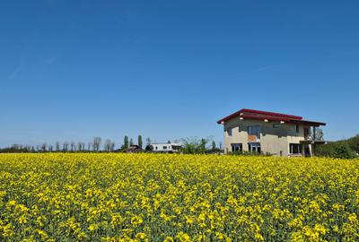 Ciolpani, spre Izvorani - COR, vanzare teren 5000mp. - 18