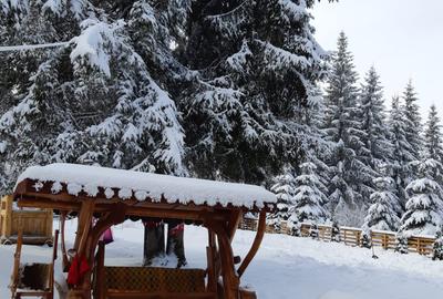 De Vanzare Cabana in   Poiana Negrii cu Clasificare la  Ministerul Turismului - 9