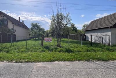 Teren intravilan de constructii si gradina 2030 mp-Tarlungeni - 1