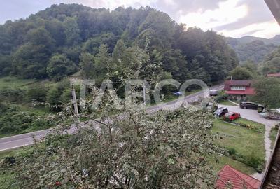 Spatiu de vanzare in Valea Macesului judel Valcea iesire la Lotru - 41