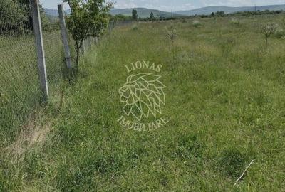 Teren 23700 mp (2,37 ha)-ideal investitie,cabana-Sesul Jelnei - 3