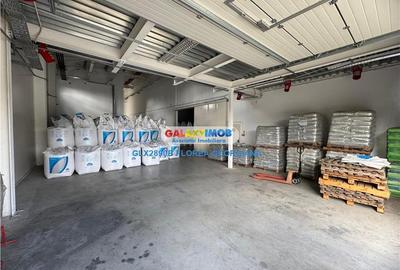 Vanzare spatiu industrial Crevedia - 11