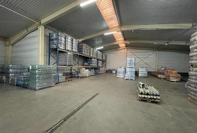 Centru logistic de inchiriat in Tulcea - 29