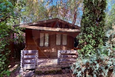 Ansamblu de 7 Căsuțe de Vacanță, Ocna Șugatag - 1