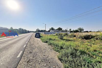 AZURA Imobiliare - Teren la DN7 langa Gaesti, Crangurile - Badulesti - 30