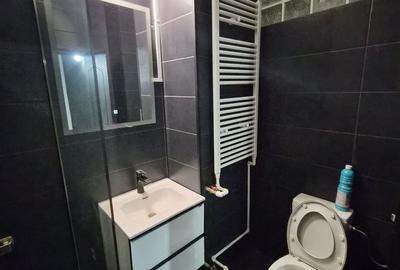 De vânzare Vilă individuala 11 camere curte proprie Parcul Carol - 15