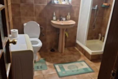 Vila S+P+1+M- Islaz, 8 camere, Suprafata teren 971 mp, Suprafata construita 410 - 14