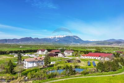 Complex Turistic Panicel, DN73A - 8