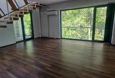 Spatiu Birouri, zona Zorilor 250 MP - 3