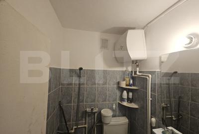 Camera de camin, 14 mp, zona Tatarasi - 3