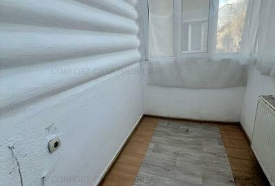 Calarasilor-Decebal, casa, 8 camere 184 mp+ curte - sediu firma - 12