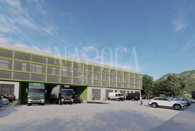 Teren intravilan pentru constructii de vanzare in Sannicoara - 4