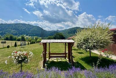 Refugiu pretios:jacuzzi, lemn masiv,2.000 mp teren,4 dormitoare, cuptor, investi - 21