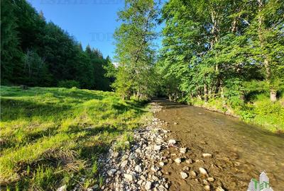 Teren Intravilan 12000 mp, Cascada Urlatoarea, proiect aprobat pentru Resort, la - 18