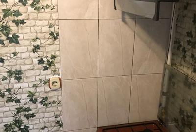 Garsoniera, zona Ostroveni, mansarda, 30 mp, mobilata, cu centrala proprie - 5