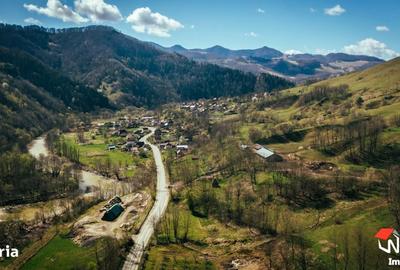 Casa deosebita in zona turistica pitoreasca Valea Ariesului - 4