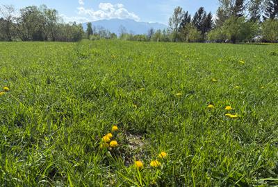 Teren intravilan zona Bran-Tohanita,judetul Brasov loturi intre 500 si 1000 m - 5