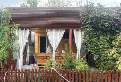 Se vinde casa, plus hala cu panouri solare, teren, zona Branesti-Pasare - 6