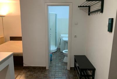 Apartment 1cam Arcu - Piata Unirii renovat CT - 4