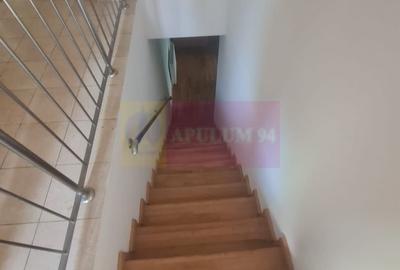 Vila de vanzare cu 6 camere in Cornu (teren 6.600 mp) - 34