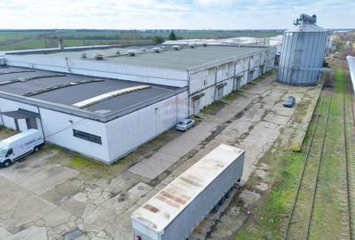 Spațiu industrial de vânzare în Aradul Nou / Arad - 6