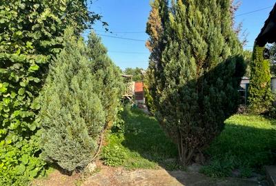 Proprietar  - vand casa la Cristur, judetul Hunedoara - 3