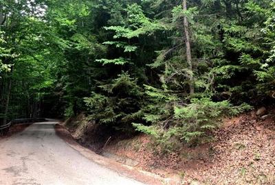 Teren 7 ha, Lac Vidraru, Podis Molivis - 3