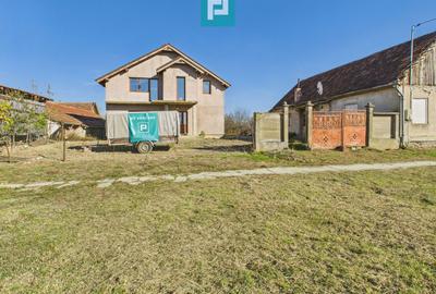 Proprietate impresionantă în Nădab - 2