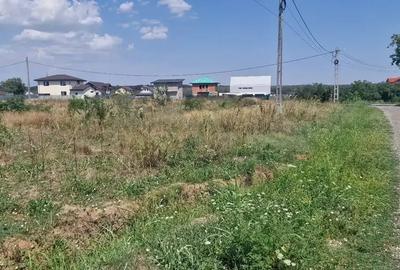 Teren de vânzare in Branesti 1000 mp lângă Pădure  Toate utilitățile - 1