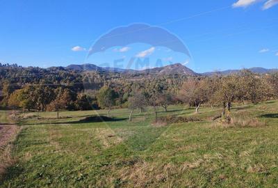 Teren zona superba Șișești - 1