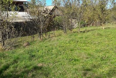 Teren intravilan în sat Făget, com. Drajna, Prahova - 2