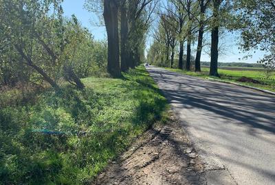 Vanzare  Teren  extravilan / intravilan Afumati DN2 / DJ200  -  Petrechioaia - 1