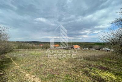Teren intravilan pentru investitie, 2896 mp, Herneacova Timis - 1