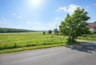 Teren intravilan, pe 5.800 mp, cu vedere frumoasa,in localitatea Reghin - 3