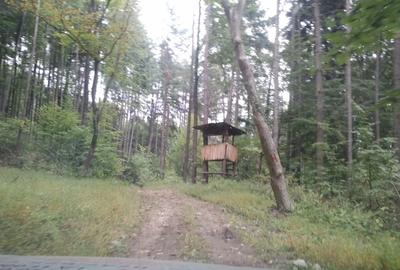 Teren agrement padure langa Strandul Termal Caciulata - 1