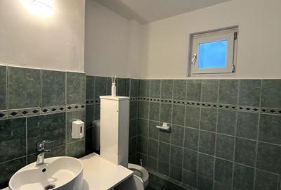Spatiu birouri de inchiriat Timpuri Noi, Tineretului - 5