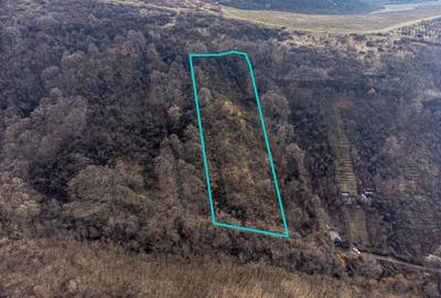 Teren în Ghioroc pe deal - 1