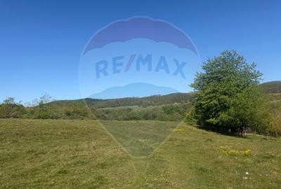 Teren extravilan 6.322 mp, împrejmuit, aproape de stadion Cugir, jud. - 4