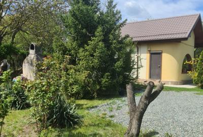 Casa curte/ Otopeni/ curte foarte mare/firma rent a car/parcare long t - 7